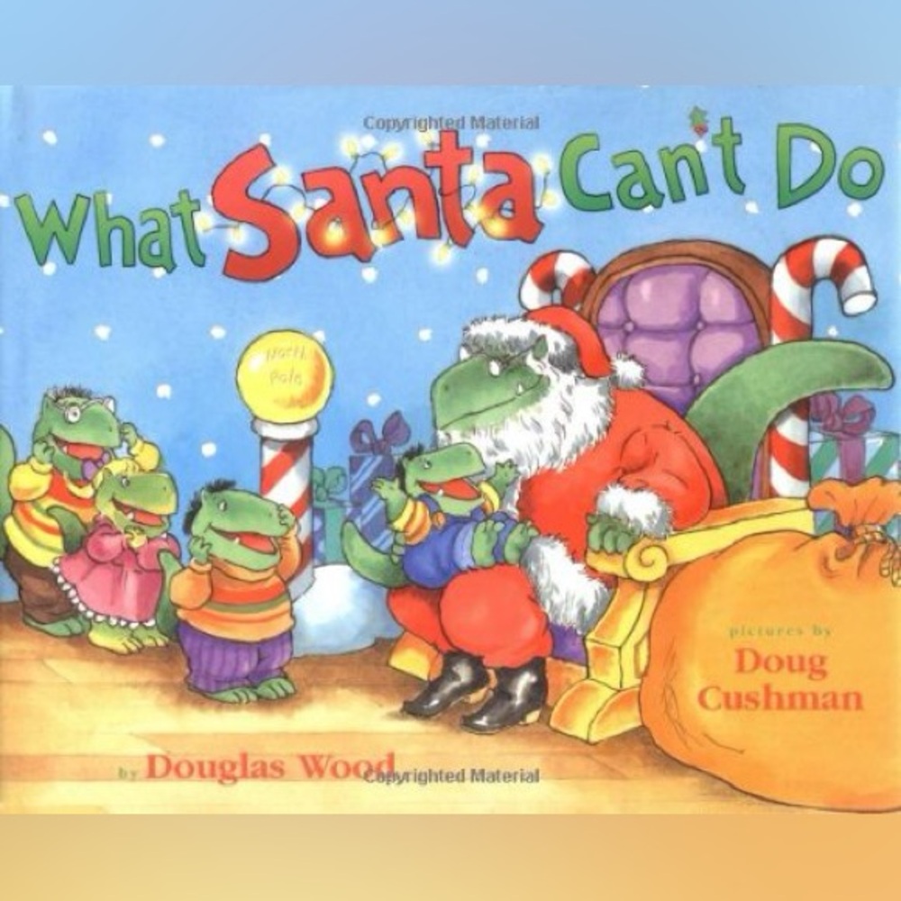 BUNDLE & SAVE🎄 What Santa Can't Do Children's Book by Douglas Wood